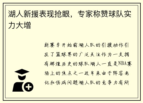 湖人新援表现抢眼，专家称赞球队实力大增