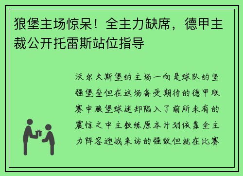 狼堡主场惊呆！全主力缺席，德甲主裁公开托雷斯站位指导